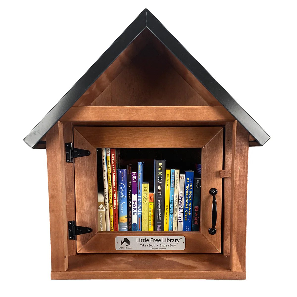 Cabin Little Free Library - Image 4