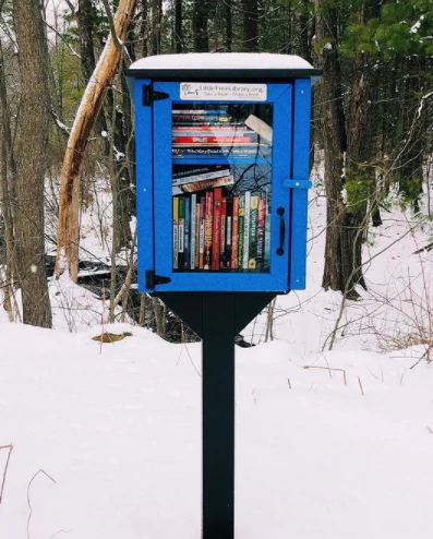 Composite Two Story Blue Little Free Library - Image 4