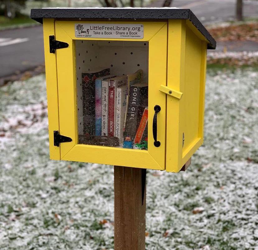 Cottage Unfinished Little Free Library - Image 5