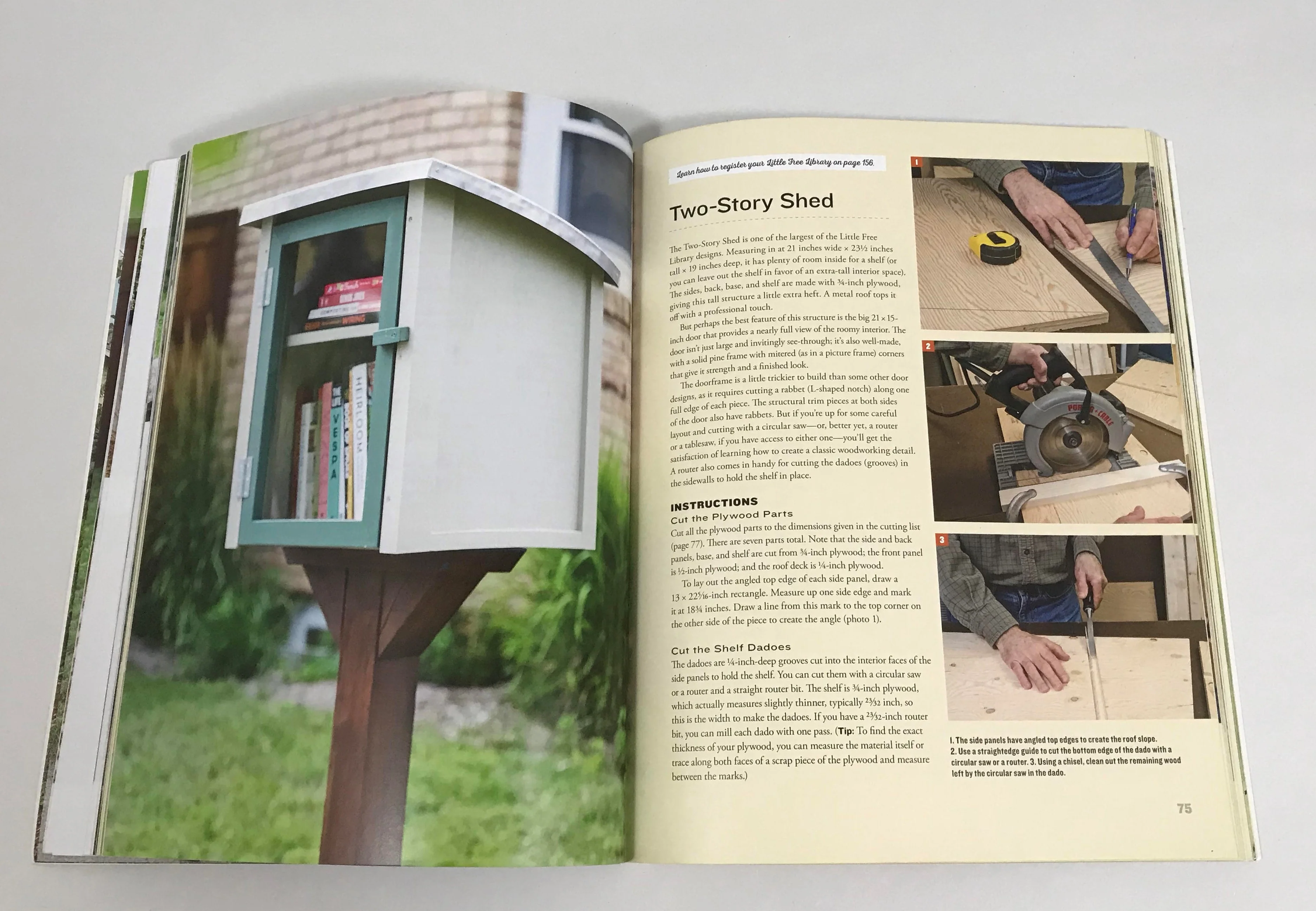 Little Free Libraries and Tiny Sheds - Image 3