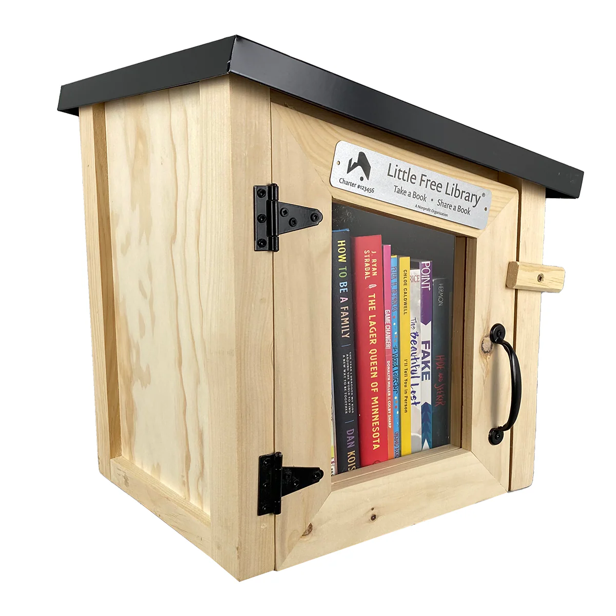 Mini Modern Little Free Library - Image 5
