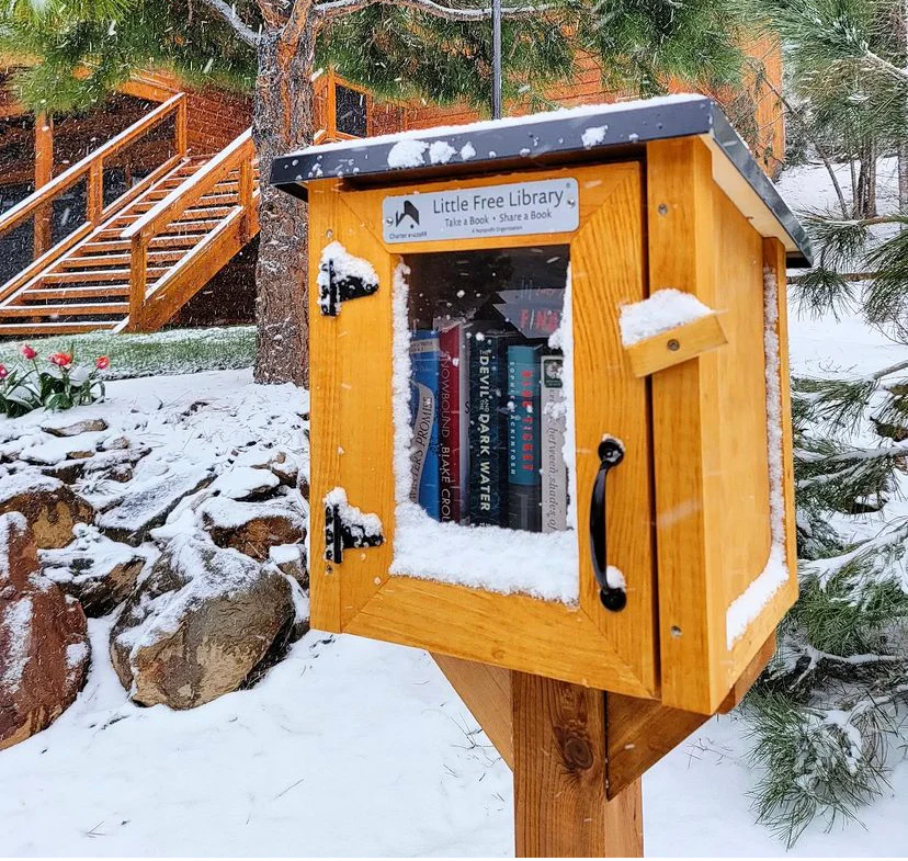 Mini Shed Kit Little Free Library - Image 4