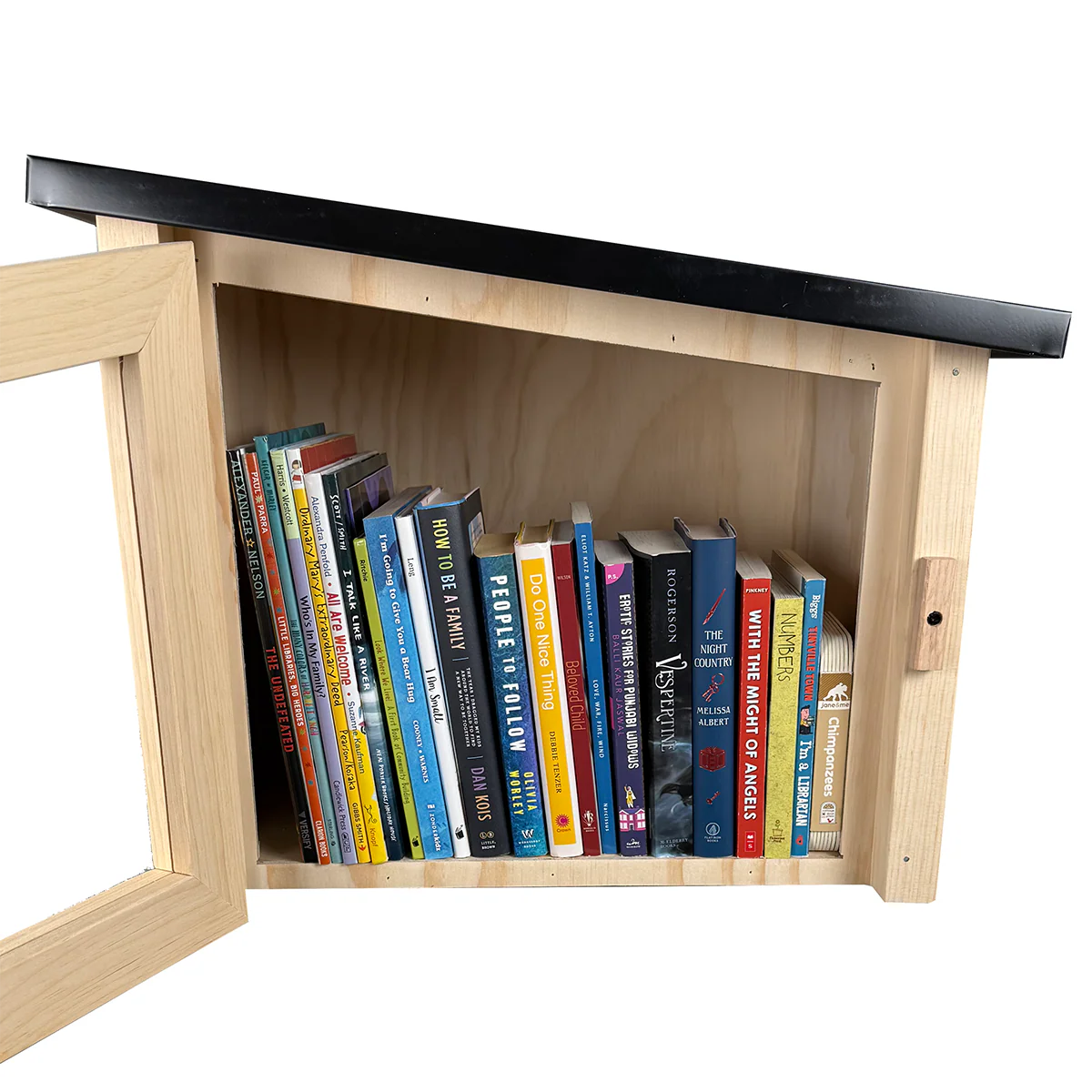 Modern Unfinished Little Free Library - Image 3