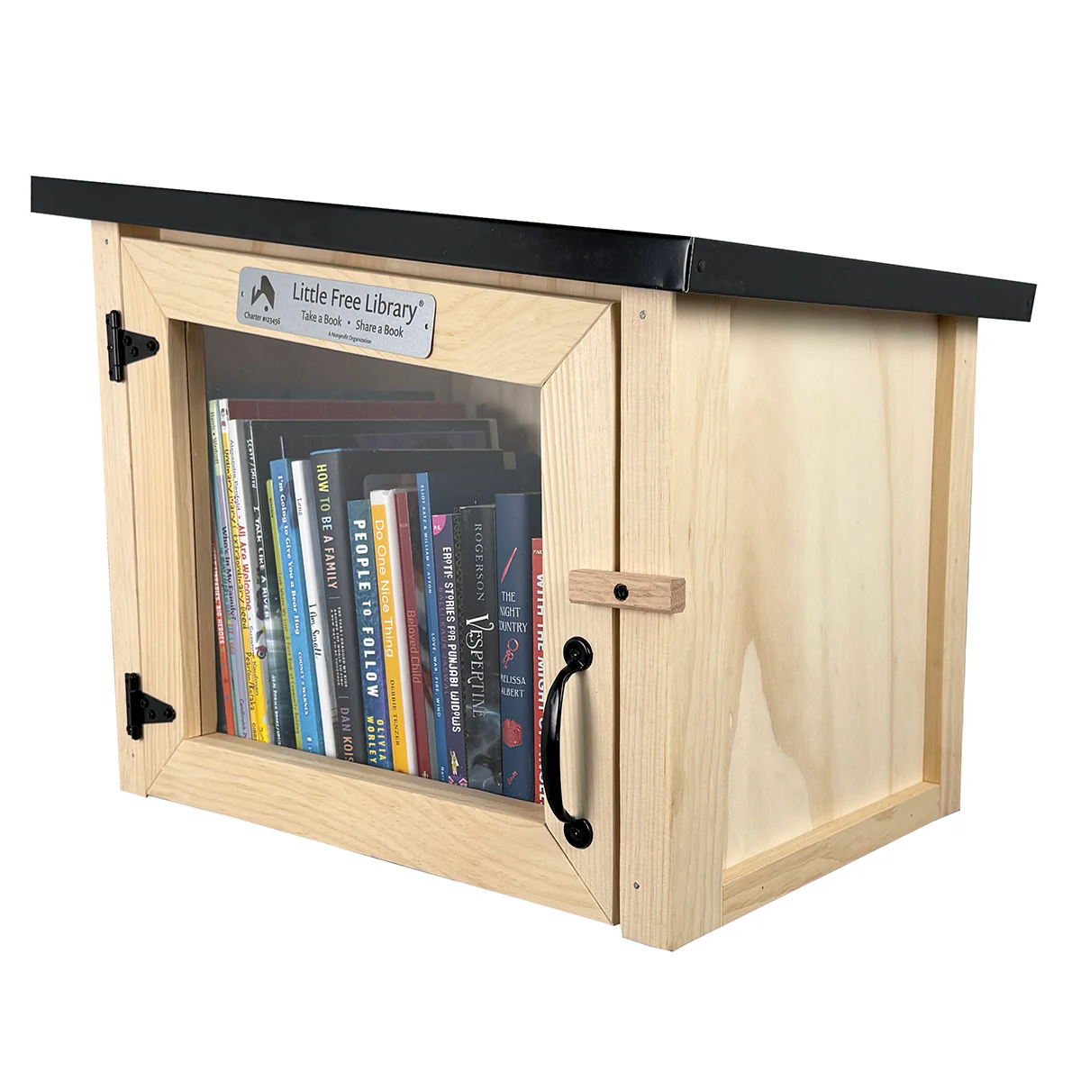 Modern Unfinished Little Free Library - Image 4