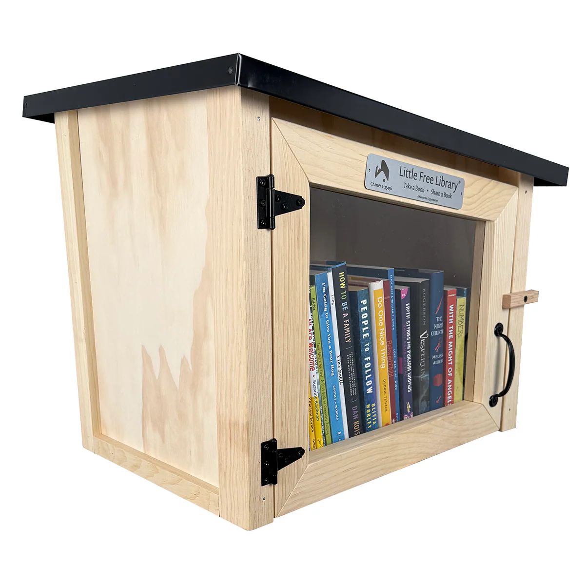 Modern Unfinished Little Free Library - Image 5