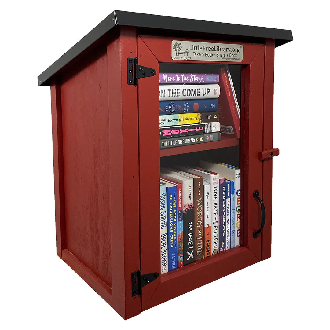 Read In Color Little Free Library Bundle - Image 2
