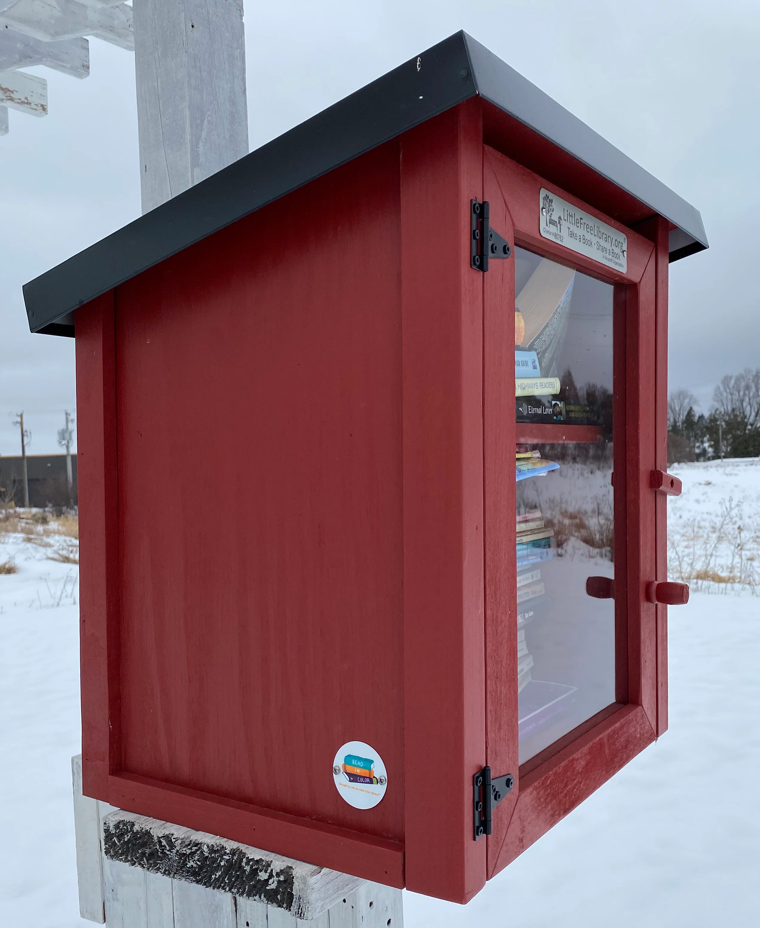 Read In Color Little Free Library Bundle - Image 6