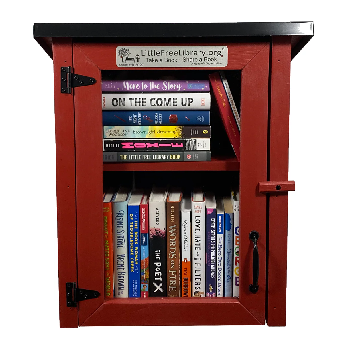 Read In Color Little Free Library Bundle - Image 8