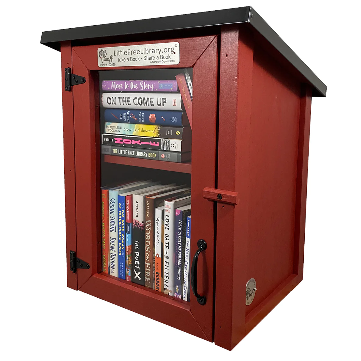 Read In Color Little Free Library Bundle - Image 9