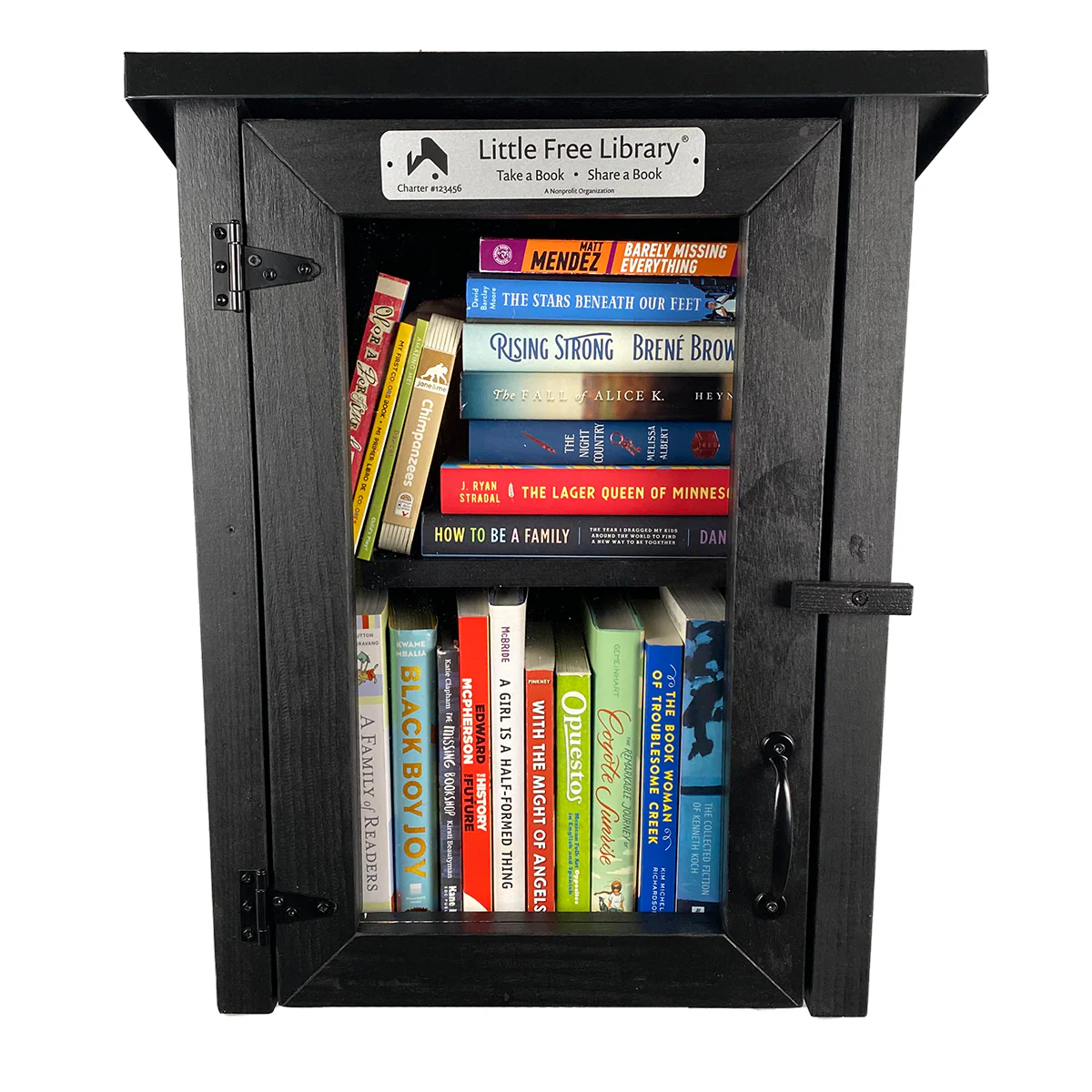 Two Story Shed Black Little Free Library - Image 4